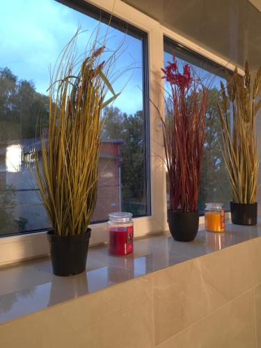 Pandangan, Vinetas Apartments Nr1 Green Royal in Cesis