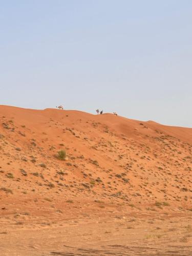 Sunset77, Al Wāşil (photo 9)