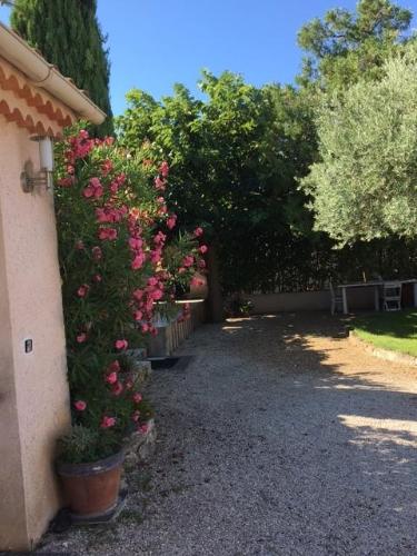 Villa hortensia – Carpentras, UT