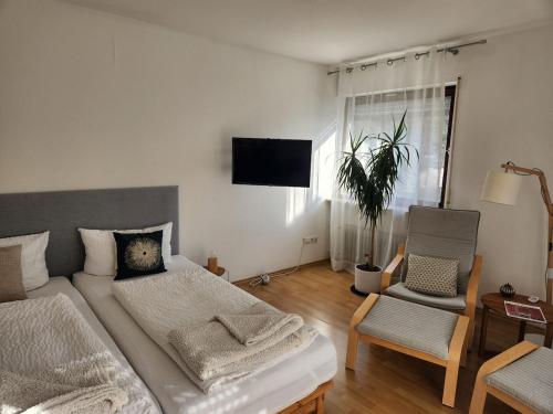 Sunny studio in Grenzach, ideal location to Basel in Grenzach-Wyhlen