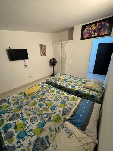 Casa Osiris - image 2