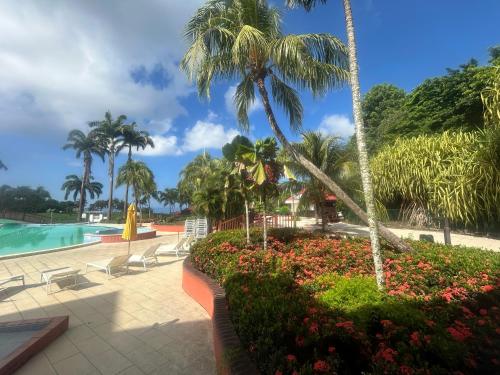 la Désirade (la Desirade) in Sainte-Luce