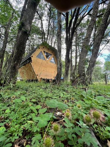 花園, Surí refugios Villa O'Higgins, Fin de la Carretera Austral (Suri refugios Villa O'Higgins, Fin de la Carretera Austral) in 維拉奧希金斯