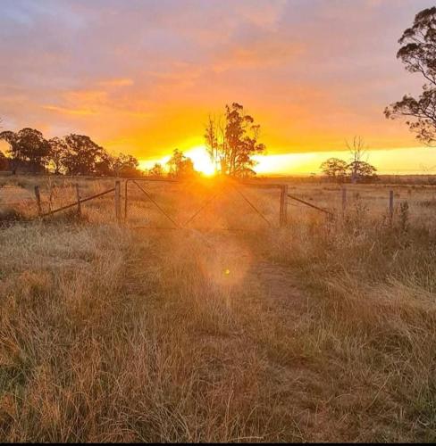 The Farm in ทาร์ราเลียห์