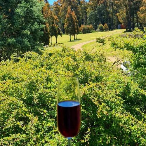 The Farm in ทาร์ราเลียห์