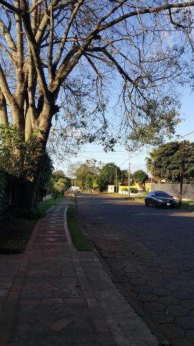 兰花公园酒店 兰花公园酒店