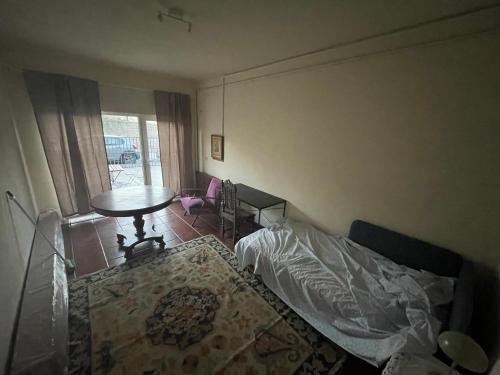 Apartment with balconies and garden, Amarante (Foto 3)