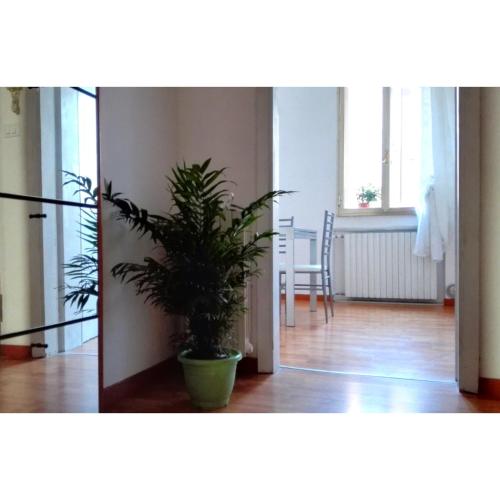 Casa Martini, Benátky (fotografie 7)