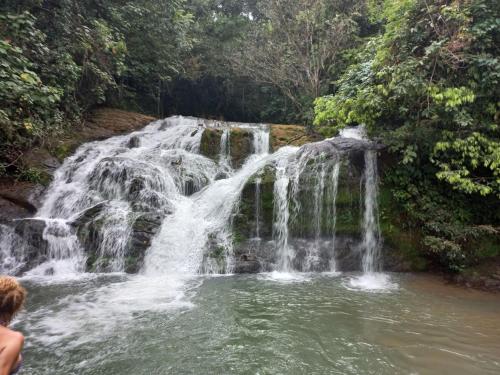 La Ceiba Ecoadventures Refugio de vida silvestre - image 3