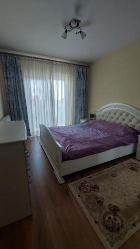 Alex Studio, Тыргу-Муреш (фото 4)