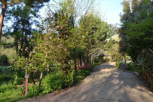 Quinta do Mosteiro - image 11
