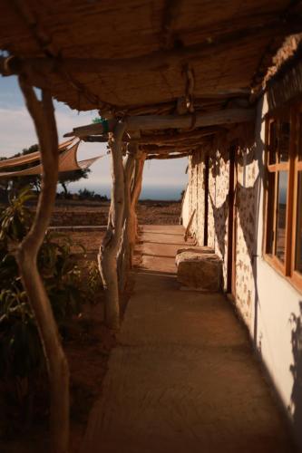 View, Wilde Tigmi in Tisrharine