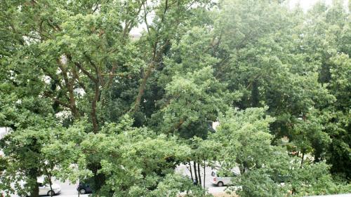 Work and Stay Apartment Balcony, Düsseldorf (photo 5)