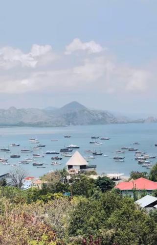 拉科利納科莫多酒店 (La Colina Komodo Hotel) in 下納閩