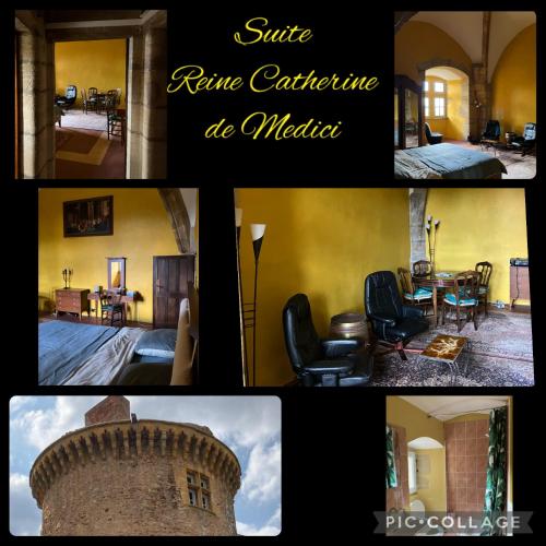 Chateau d Albon - Catherine de Medicis chambre d'hôte Saint-Alban-les-Eaux