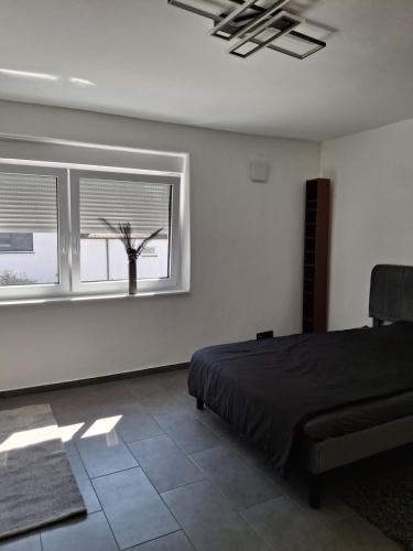 Gemütliche und ruhige Wohnung, Stuttgart (Foto 7)