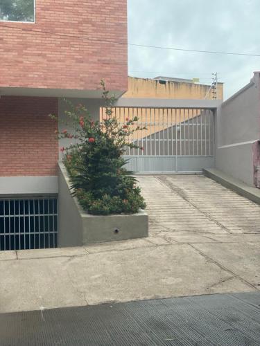 apartamento miniluxxury - image 5