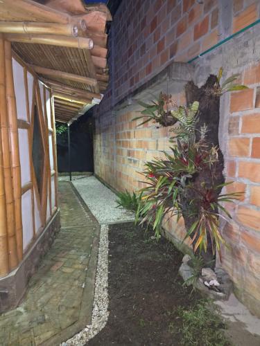 Qinti Quetzal Boutique Guest house y Elixir Bar in San Agustin