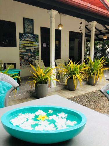 Mango Villa, Hikkaduwa (fotografie 4)
