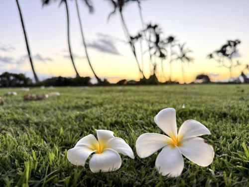 Létesítmények, Lahaina Studio: Beachfront, Mountain View, Hot Tub in Lahaina