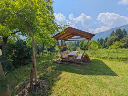 Apkārtne, Chalet Relax Among The Vines in Forni Di Sotto