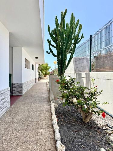 Sun Ventura near Flughafen Fuerteventura