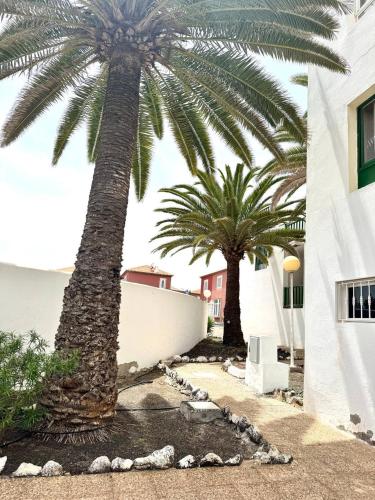 Sun Ventura near Flughafen Fuerteventura