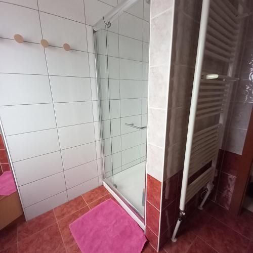 Les pervenches - Location saisonnière - Illkirch-Graffenstaden