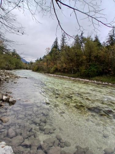 Zimmer im Salzkammergut in Ramsau (Upper Austria)
