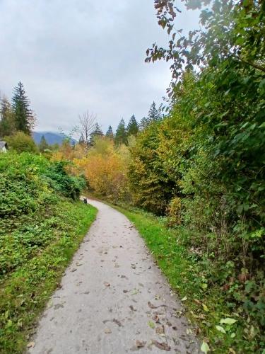 Zimmer im Salzkammergut in Ramsau (Upper Austria)