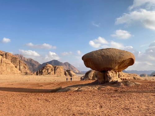 Wadi rum naef camp - image 4