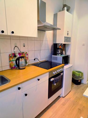 Komplett Apartment In Süd Nürnberg, Núremberg (foto 4)