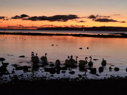 Ta'Pinu House and Spa in อาร์ดรอสแซนกลาง