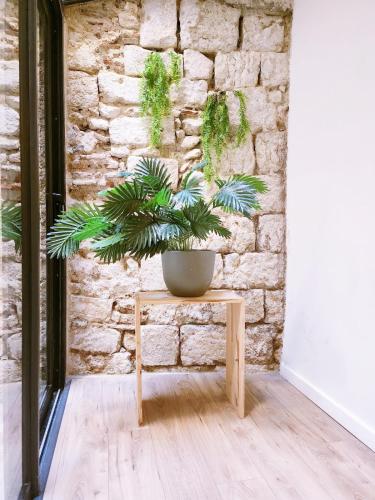 Flor de Lys - Centre historique in Auch