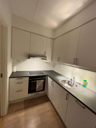 J-Apartment One Bedroom Apartment Central Jessheim in เยสชาม