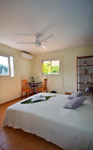 Dom pension in Baie-Mahault