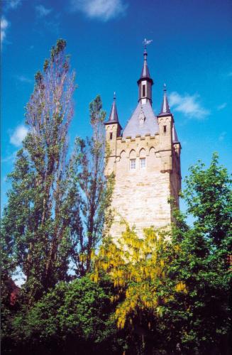 Hotel am Rosengarten - image 11