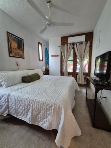 Limón apartment in Puerto Vallarta
