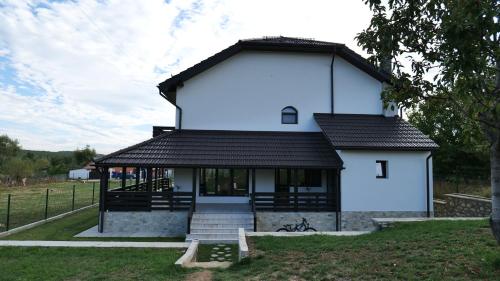 Viesnīcas āriene, Pensiunea Agroturistica Darius in Baia De Fier