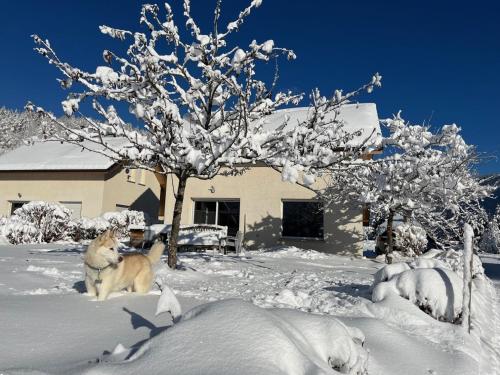 Anya - Location saisonnière - Autrans-Méaudre-en-Vercors