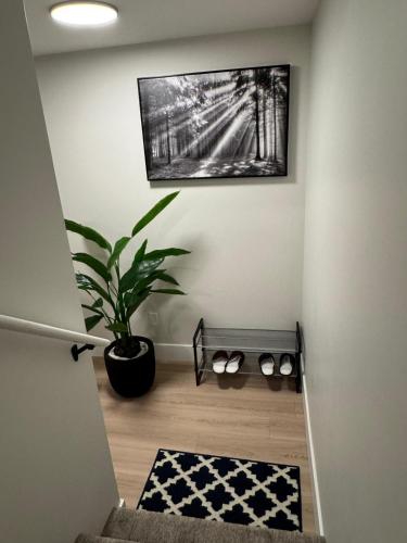 Comfy Apartment - Ammon