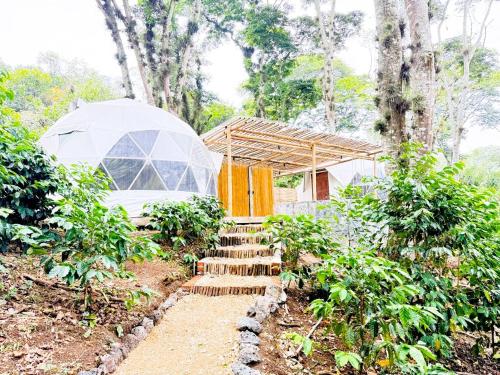 Alma Glamping, Xalapa