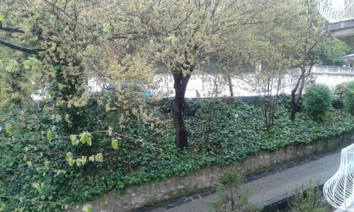  Cekirge Apartment 4 in Bursa