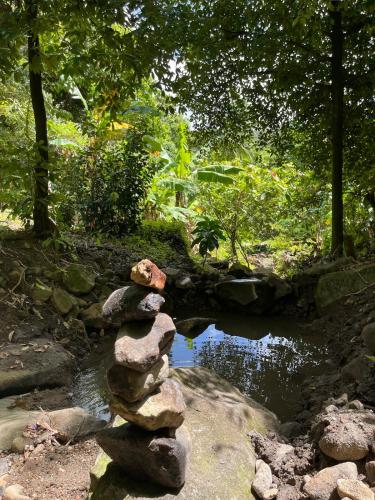 Cinnamon Cottage - Peaceful retreat in nature in 蘇弗里耶爾