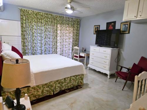 Harmony Studio - Chrisanns Beach Resort Apt 18, Ocho Rios (zdjęcie 3)