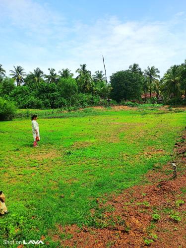 Nature's Nest HomeStay in Majali