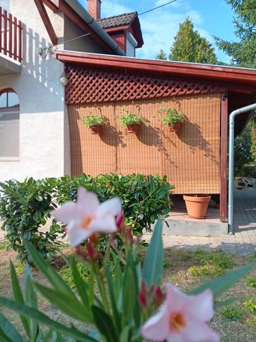 Mazsola Vendeghaz in Tamási