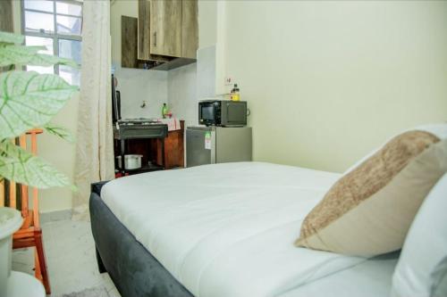 Tiny Haven studio with free WIFI and Parking, Nanyuki (photo 9)