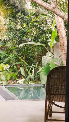 DreamTime - image 3