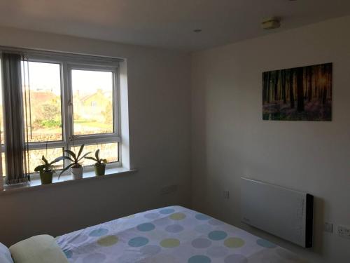 A double room in a great location - image 4